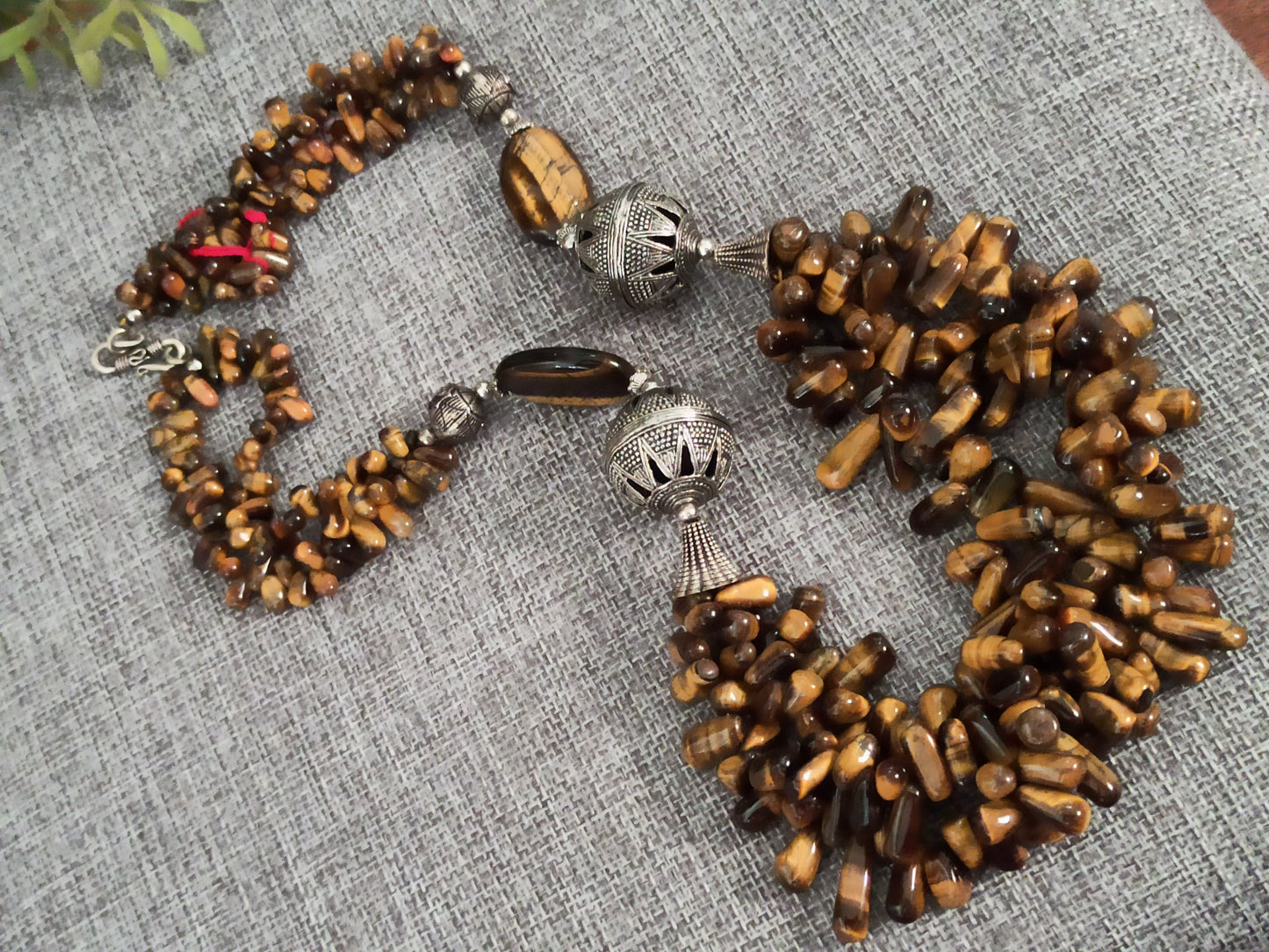 Enigmatic Tiger Eye