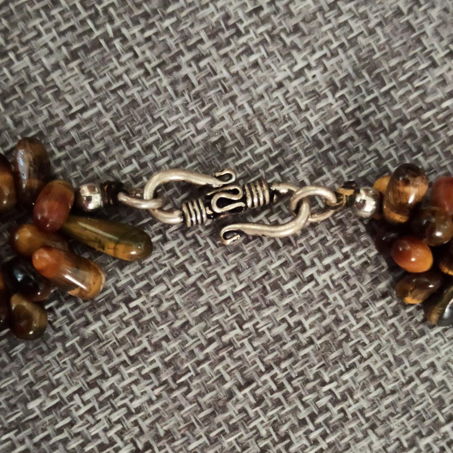 Enigmatic Tiger Eye